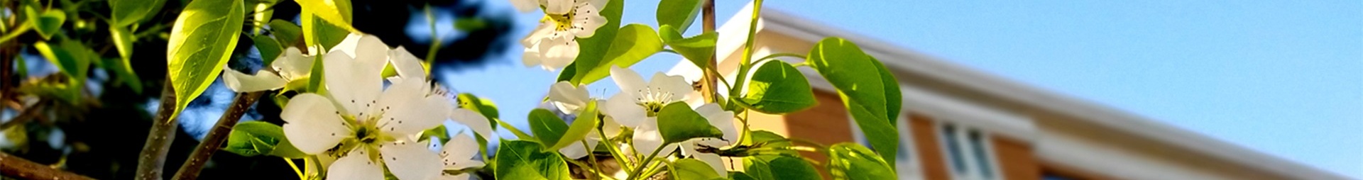 雷火竞技平台